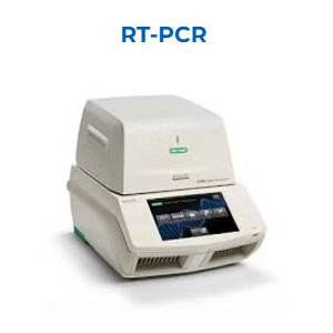 RT - PCR