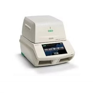RT-PCR